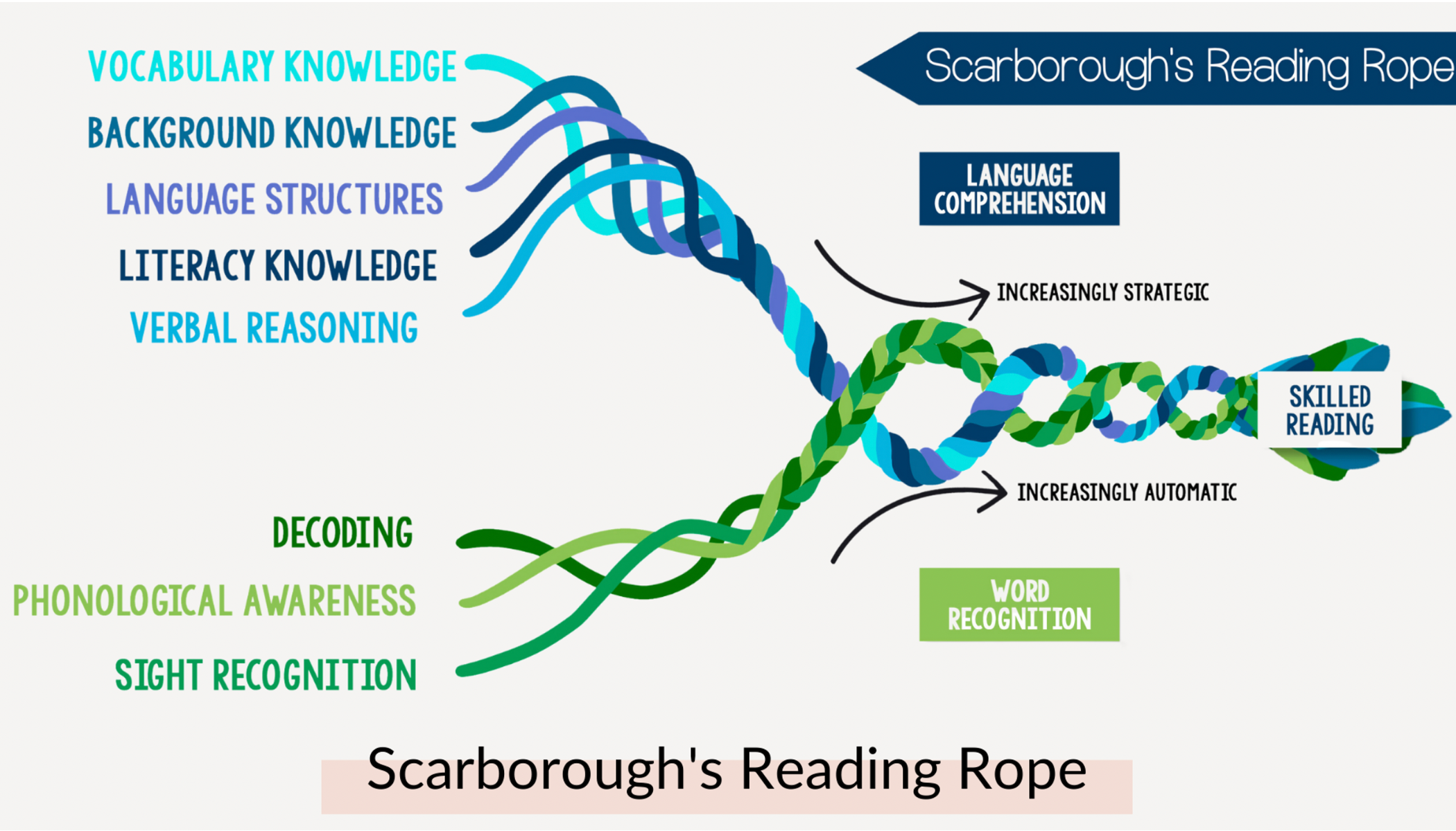 Scarboroughs Reading Rope